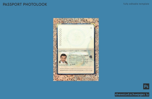 Beispielansicht für ein algerisches Passfoto